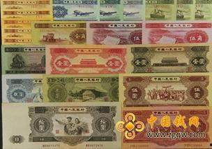 過(guò)年彩虹幣最新爆料,最新爆料揭示神秘面紗